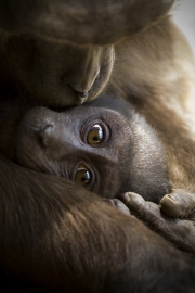 Infant with mother