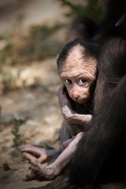 Infant with mother